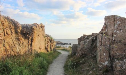 'Kuisma' - 300m from the sea 4