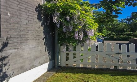 'Ullamaj' - 30m from the sea 4