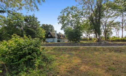 'Nyyrikki' - 100m from the sea 4