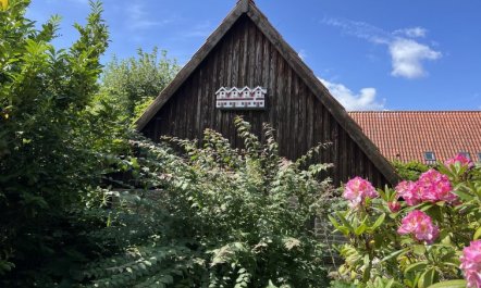 'Skyler' - 250m from the sea 5