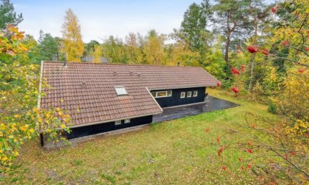 'Aimo' - 300m from the sea 2