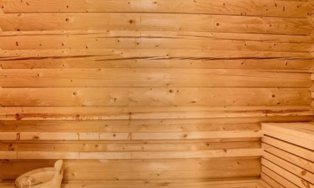 'Edzard' - 900m from the sea 3