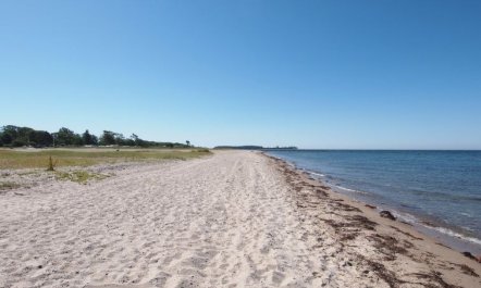 'Claudine' - 90m from the sea 6