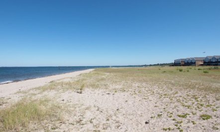 'Claudine' - 90m from the sea 5