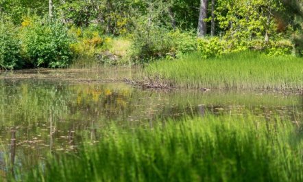 'Smilla' - 300m from the sea 7