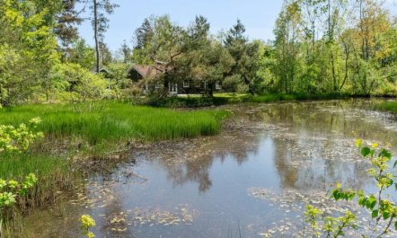 'Smilla' - 300m from the sea 6