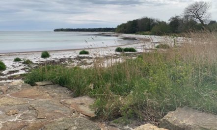 'Hildegunda' - 280m from the sea 2