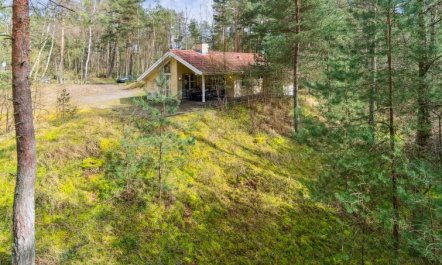 'Ava' - 850m from the sea 5