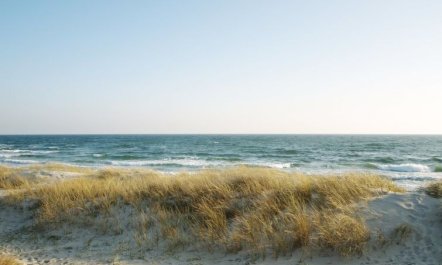 'Clementine' - 1.2km from the sea 3