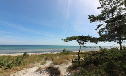 'Clementine' - 1.2km from the sea 2