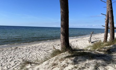 'Micaela' - 450m from the sea 4