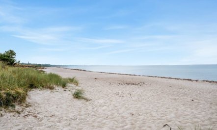 'Anila' - 80m from the sea 1