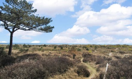 'Othinkarl' - 150m from the sea 2