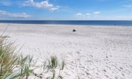 'Othinkarl' - 150m from the sea 3