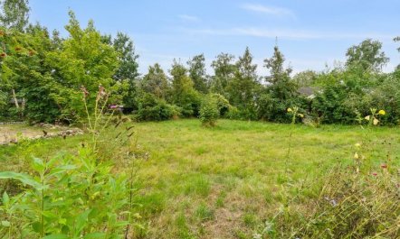 'Sami' - 200m from the sea 7