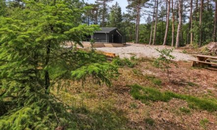 'Eliz' - 800m from the sea 5