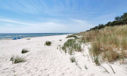 'Eliz' - 800m from the sea 2