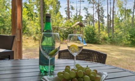 'Henri' - 800m from the sea 4