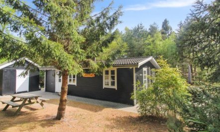 'Zeytun' - 800m from the sea 6