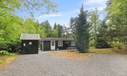 'Zeytun' - 800m from the sea 5