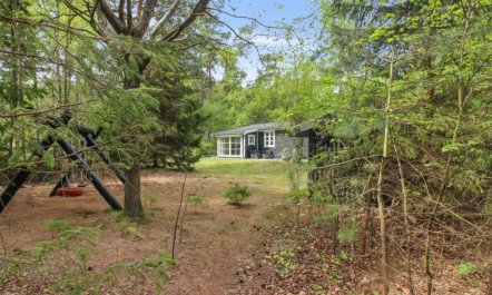 'Zeytun' - 800m from the sea 4