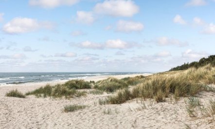 'Selvi' - 125m from the sea 2