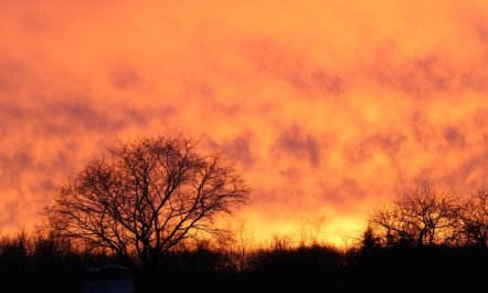 'Adrienne' - 6.4km from the sea 5