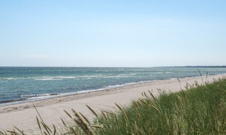 'Bertel' - 50m from the sea 3