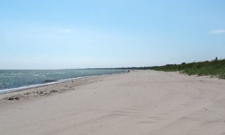 'Bertel' - 50m from the sea 2