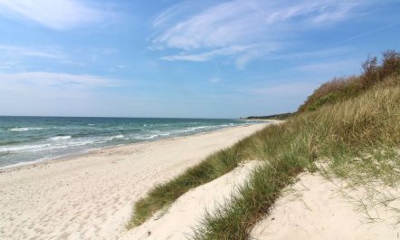 'Enisa' - 800m from the sea 1