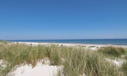 'Øthger' - 300m from the sea 2