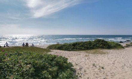 'Yrjö' - 1km from the sea 2