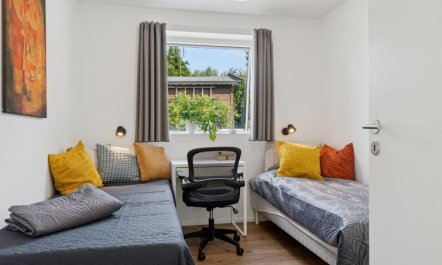 'Troels' - 945m from the sea 6