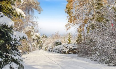 'Jouni' - 500m from the sea 3