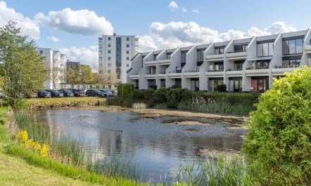 'Liv' - 50m from the sea