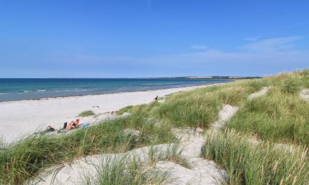 'Wilgrib' - 400m from the sea 3