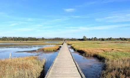 'Zezilie' - 500m from the sea 4