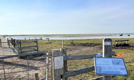 'Zezilie' - 500m from the sea 3