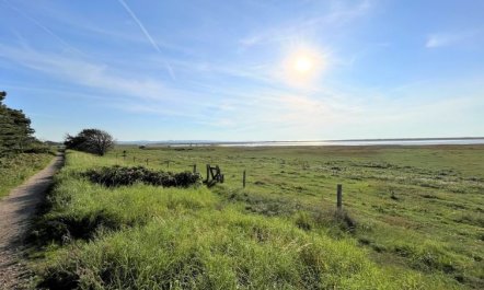 'Zezilie' - 500m from the sea 2