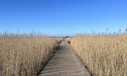 'Ela' - 800m from the sea 5