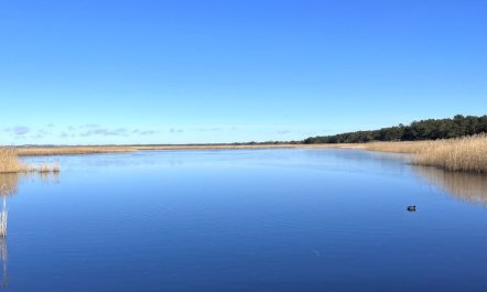 'Ela' - 800m from the sea 4