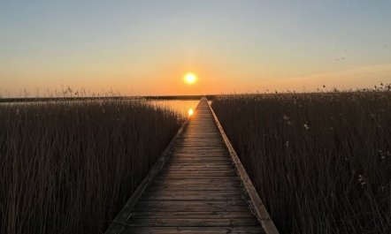 'Ela' - 800m from the sea 3