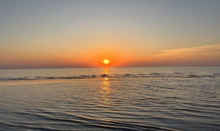 'Ela' - 800m from the sea 2