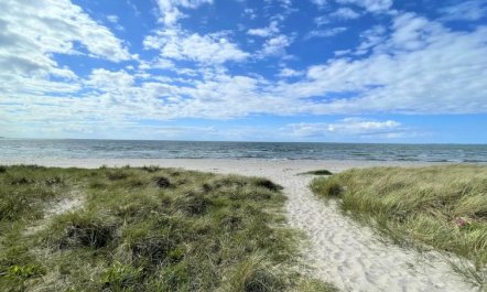 'Efka' - 175m from the sea 4