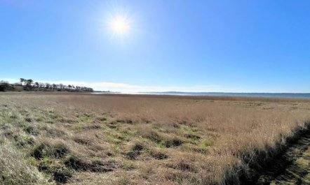 'Vemund' - 100m to the fjord 2