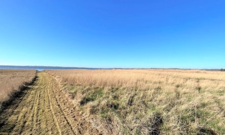 'Vemund' - 100m to the fjord 1