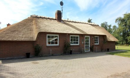 'Erra' - 250m from the sea 4