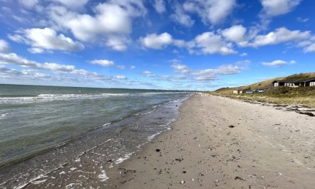 'Niesina' - 100m from the sea 4