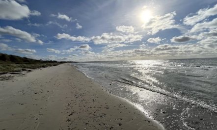 'Niesina' - 100m from the sea 2