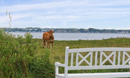 'Thyra' - 50m to the fjord 4